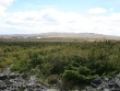 amphibolite-et-plateau.jpg