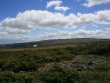 mont-albert-sud.jpg