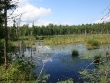 frontenac-2.jpg