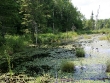 frontenac-3.jpg