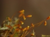 imgp9150_0