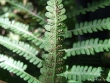 dscf6124.jpg
