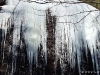 dscf7205