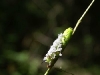 rendez-vous-2010-14-a