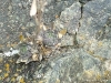 mar_12_12f-optim_