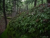 lpr-2011-10-027-copy