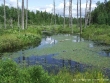 dscf5902.jpg