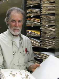 Stuart Hay