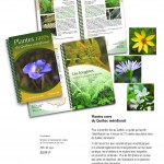 plantes rares qc méridional 2009