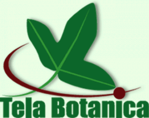 Tela Botanica