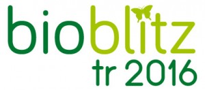 BioBlitz2016-logo